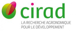 cirad